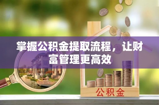 柳林掌握公积金提取流程，让财富管理更高效