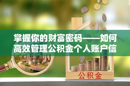 柳林掌握你的财富密码——如何高效管理公积金个人账户信息