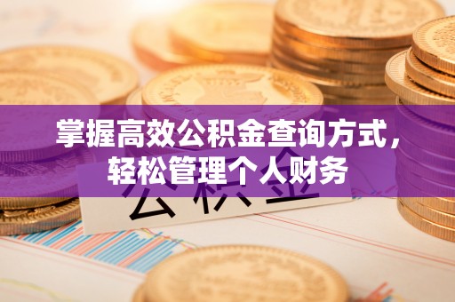 柳林掌握高效公积金查询方式，轻松管理个人财务