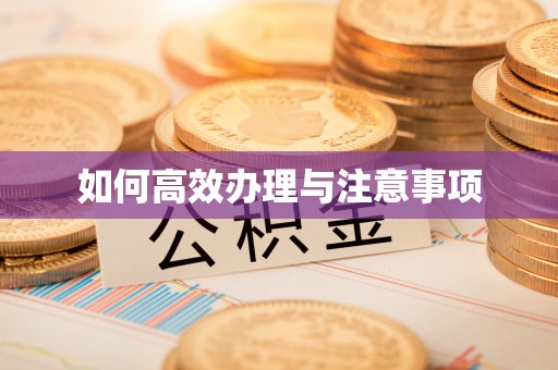 柳林如何高效办理与注意事项