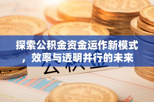 柳林探索公积金资金运作新模式，效率与透明并行的未来