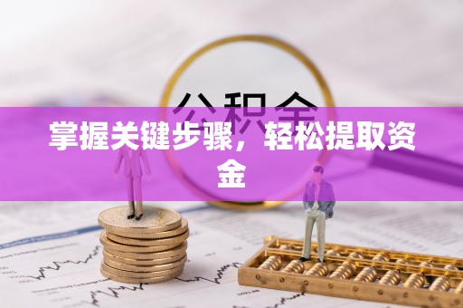柳林掌握关键步骤，轻松提取资金