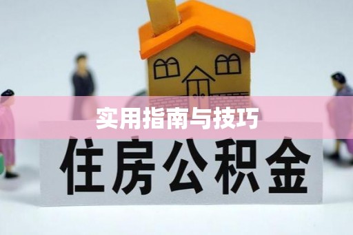 柳林实用指南与技巧
