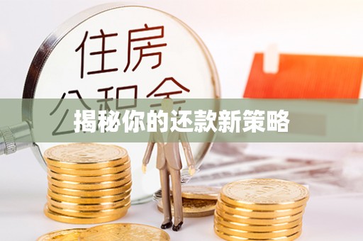 柳林揭秘你的还款新策略