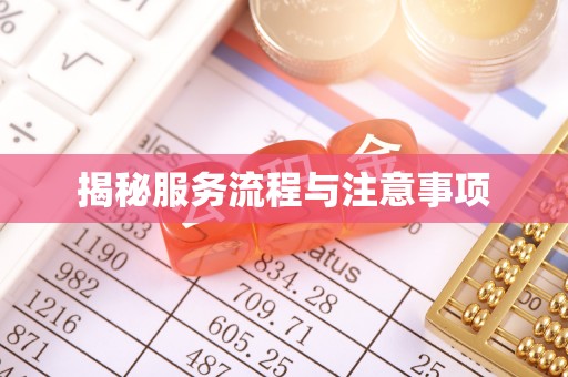 柳林揭秘服务流程与注意事项