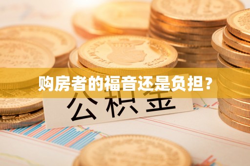 柳林购房者的福音还是负担？