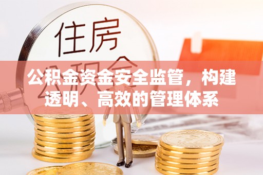 柳林公积金资金安全监管，构建透明、高效的管理体系