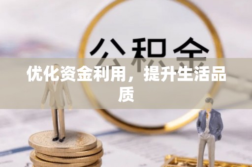 柳林优化资金利用，提升生活品质