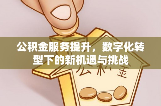 柳林公积金服务提升，数字化转型下的新机遇与挑战