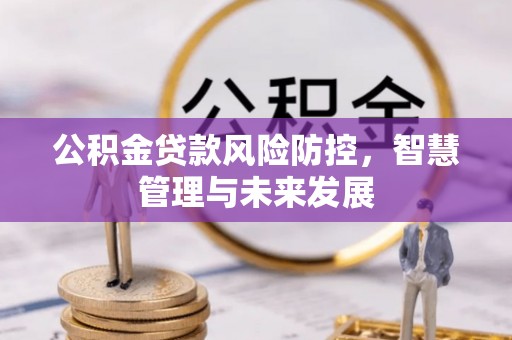 柳林公积金贷款风险防控，智慧管理与未来发展