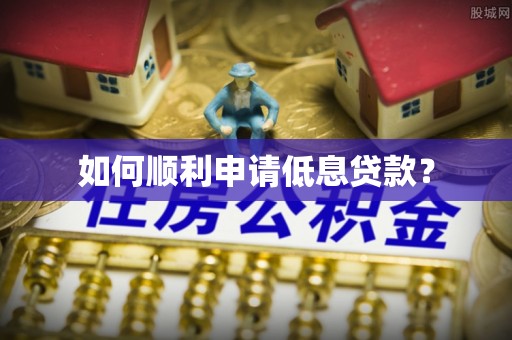 柳林如何顺利申请低息贷款？