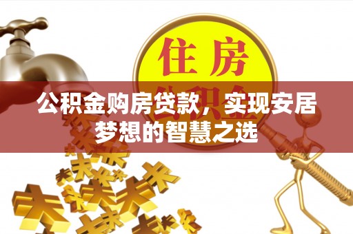 柳林公积金购房贷款，实现安居梦想的智慧之选