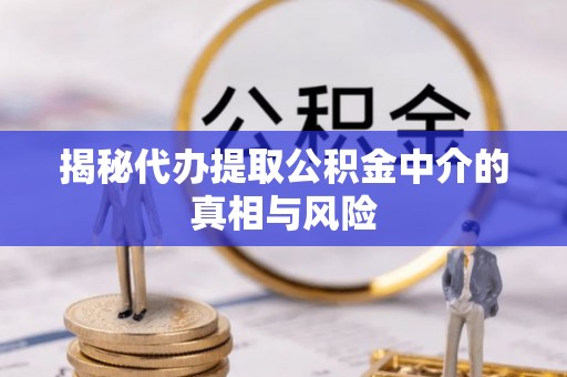 柳林揭秘代办提取公积金中介的真相与风险