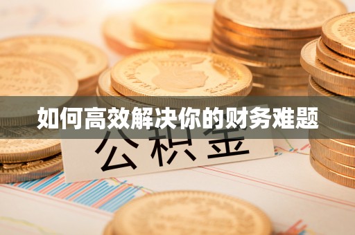柳林如何高效解决你的财务难题