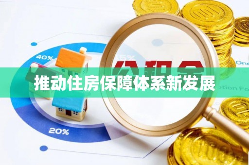 柳林推动住房保障体系新发展