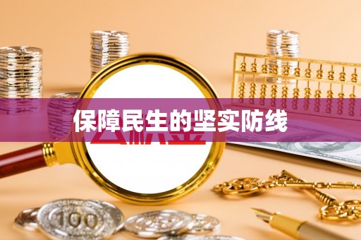 柳林保障民生的坚实防线