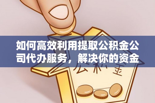 柳林如何高效利用提取公积金公司代办服务，解决你的资金难题