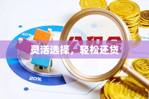 柳林灵活选择，轻松还贷