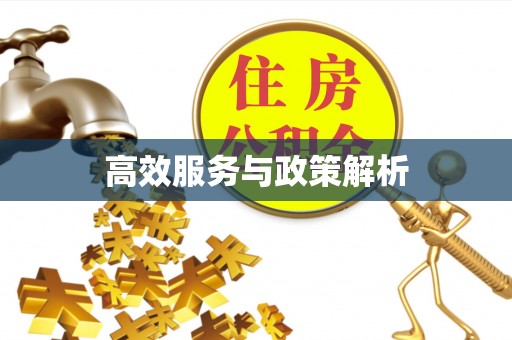 柳林高效服务与政策解析