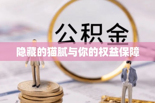 柳林隐藏的猫腻与你的权益保障