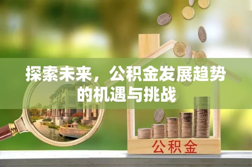 柳林探索未来，公积金发展趋势的机遇与挑战