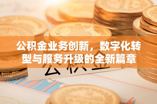 柳林公积金业务创新，数字化转型与服务升级的全新篇章