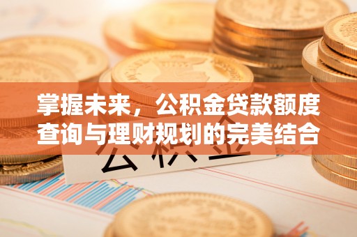 柳林掌握未来，公积金贷款额度查询与理财规划的完美结合