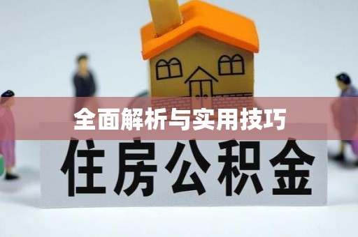 柳林全面解析与实用技巧
