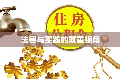 柳林法律与实践的双重视角
