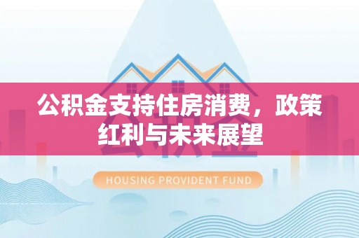 柳林公积金支持住房消费，政策红利与未来展望