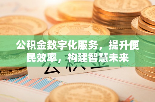 柳林公积金数字化服务，提升便民效率，构建智慧未来