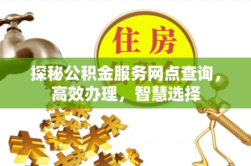 柳林探秘公积金服务网点查询，高效办理，智慧选择