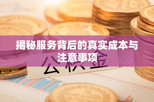 柳林揭秘服务背后的真实成本与注意事项