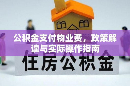 柳林公积金支付物业费，政策解读与实际操作指南