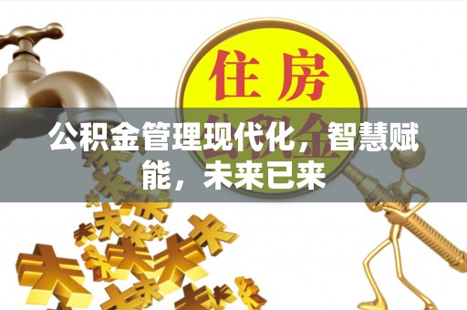 柳林公积金管理现代化，智慧赋能，未来已来