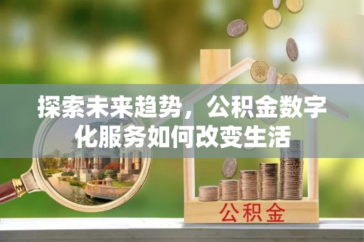 柳林探索未来趋势，公积金数字化服务如何改变生活