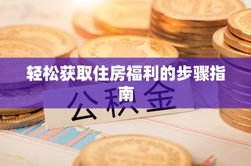 柳林轻松获取住房福利的步骤指南