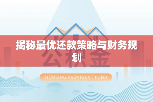柳林揭秘最优还款策略与财务规划