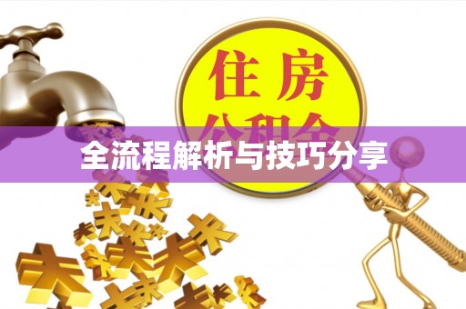 柳林全流程解析与技巧分享