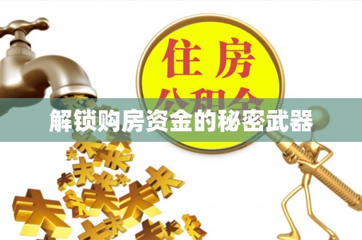 柳林解锁购房资金的秘密武器