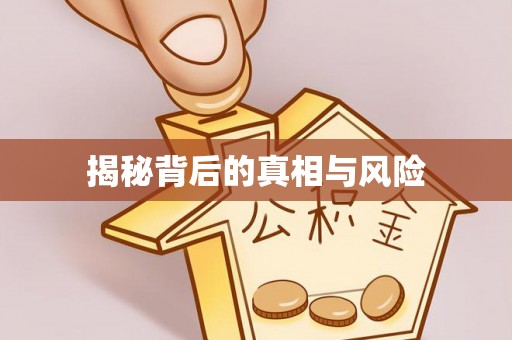 柳林揭秘背后的真相与风险