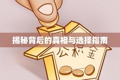 柳林揭秘背后的真相与选择指南