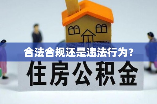 柳林合法合规还是违法行为？