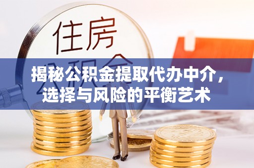 柳林揭秘公积金提取代办中介，选择与风险的平衡艺术