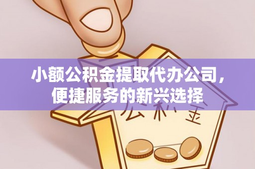 柳林小额公积金提取代办公司，便捷服务的新兴选择