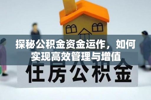 柳林探秘公积金资金运作，如何实现高效管理与增值