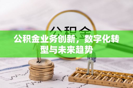 柳林公积金业务创新，数字化转型与未来趋势