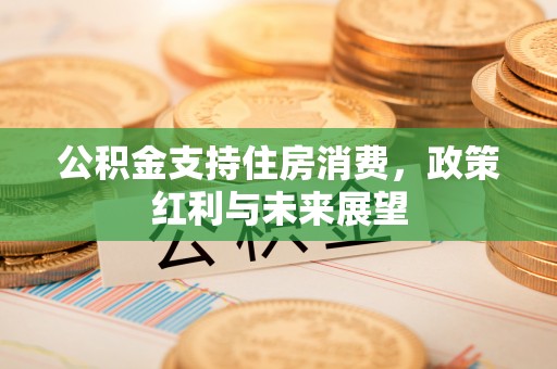 柳林公积金支持住房消费，政策红利与未来展望
