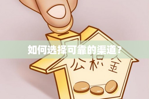 柳林如何选择可靠的渠道？