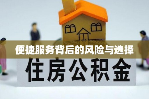 柳林便捷服务背后的风险与选择